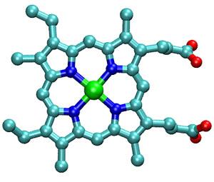 Illustration of a large, ringed heme molecule.