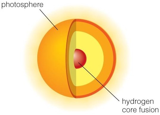 Structure of a main sequence star