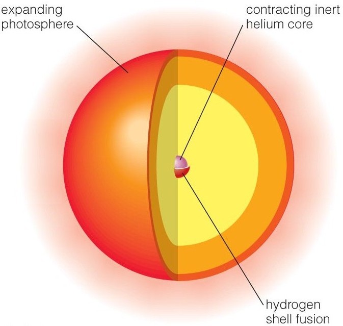 Structure of a red giant star