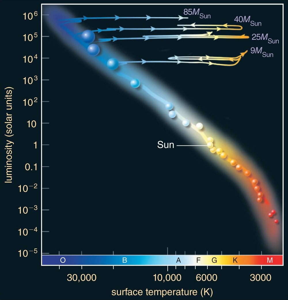 Evolution on the HR diagram of massive stars