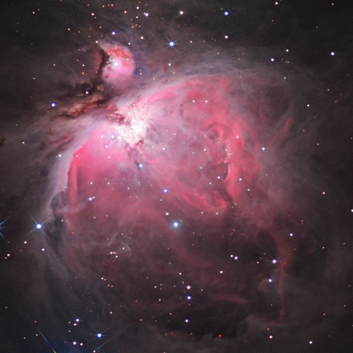 Orion nebula (Ryan Steinberg and Family/Adam Block/NOAO/AURA/NSF)