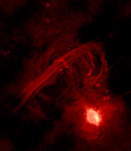 20cm VLA image of the Galactic Center, about 1 degree across.