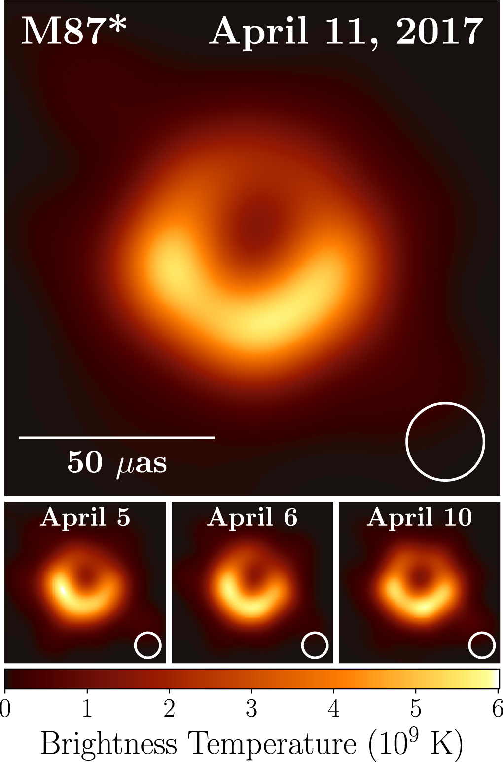 M87 black hole imaged by the Event Horizon Telescope