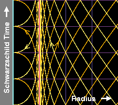Spacetime diagram of the Schwarzschild metric.
