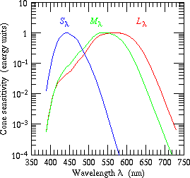 cone sensitivities