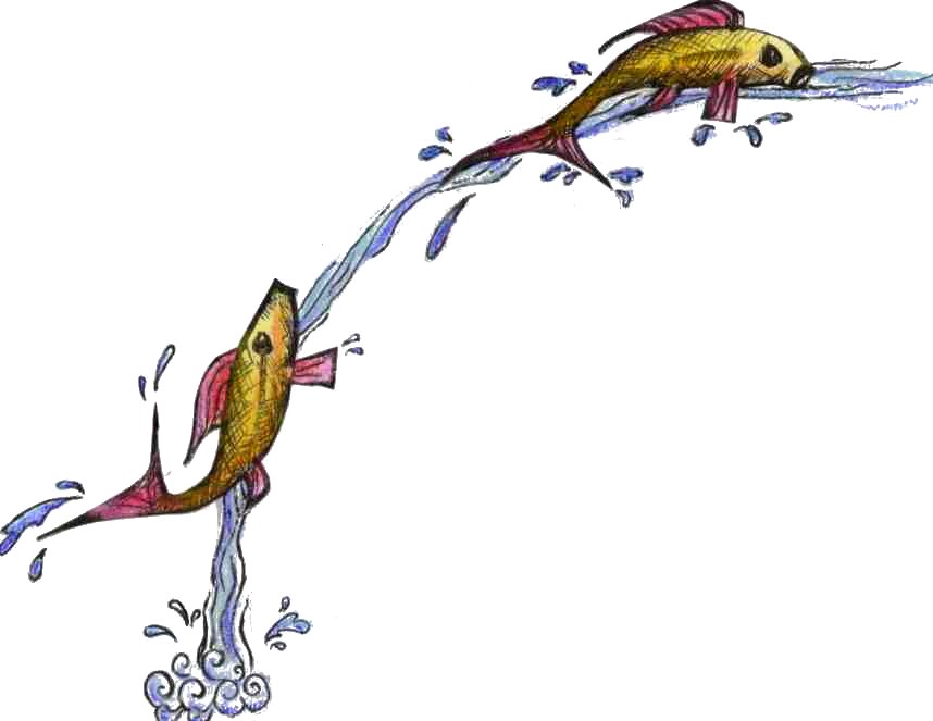 Fishies in a waterfall