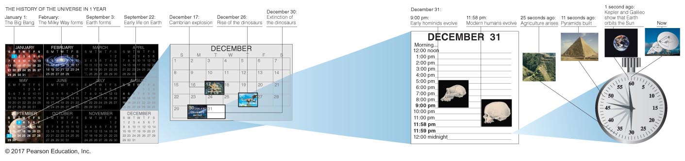 The History of the Universe in 1 Year