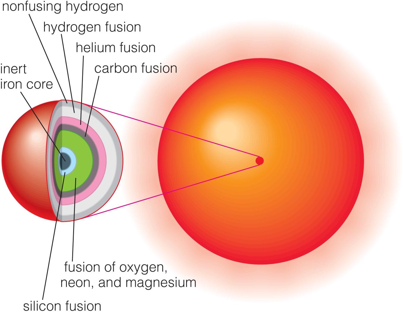 Structure of a supergiant