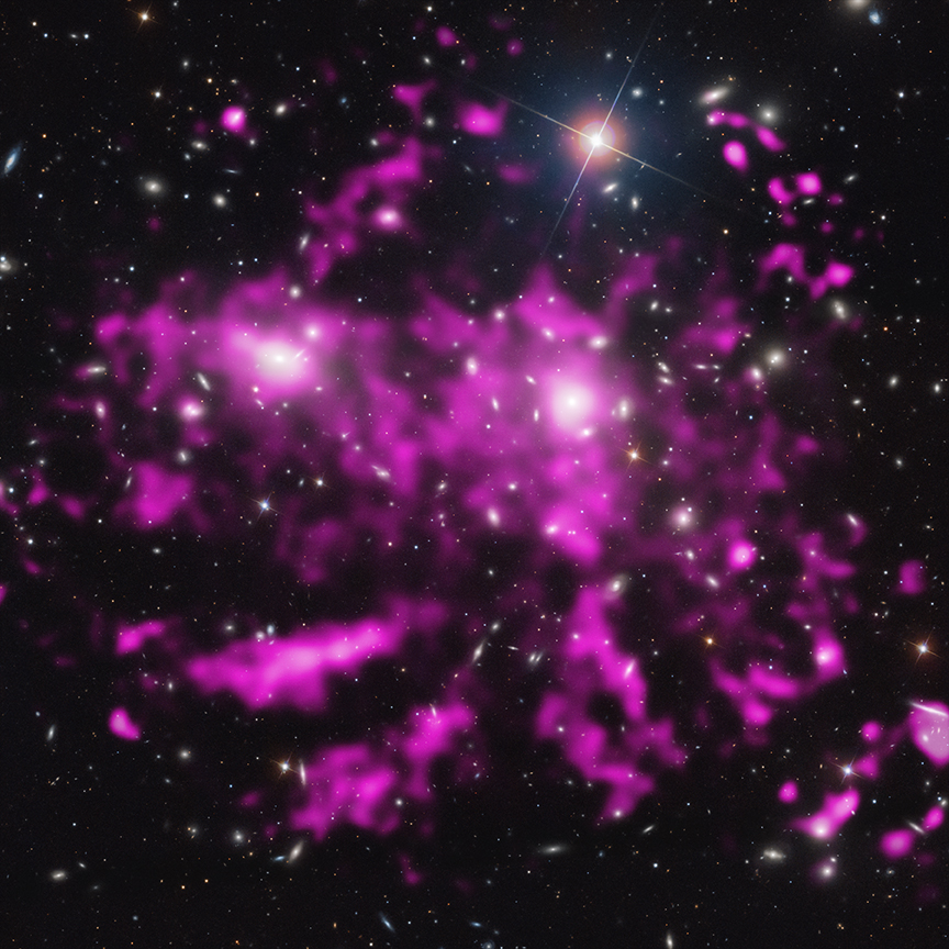 The Coma Cluster
