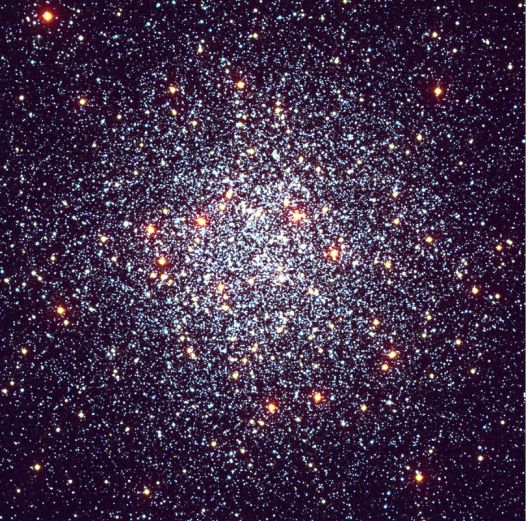 M55