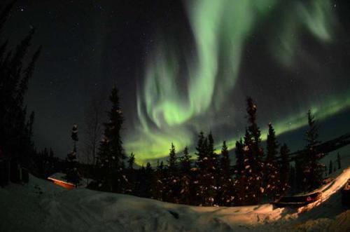 Aurora