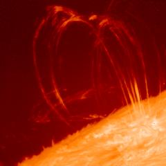 Coronal loops