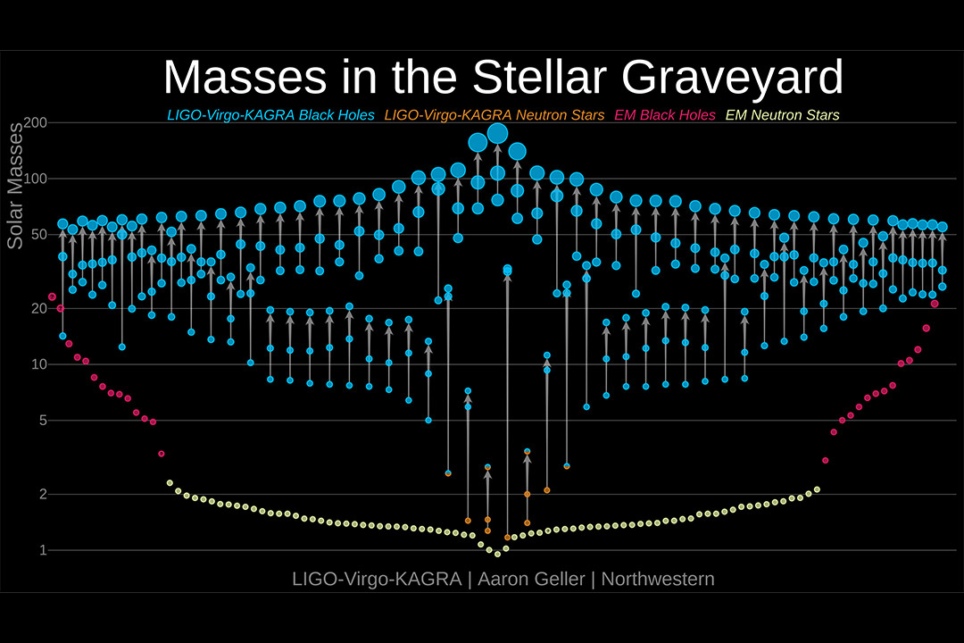 Black hole and neutron star masses