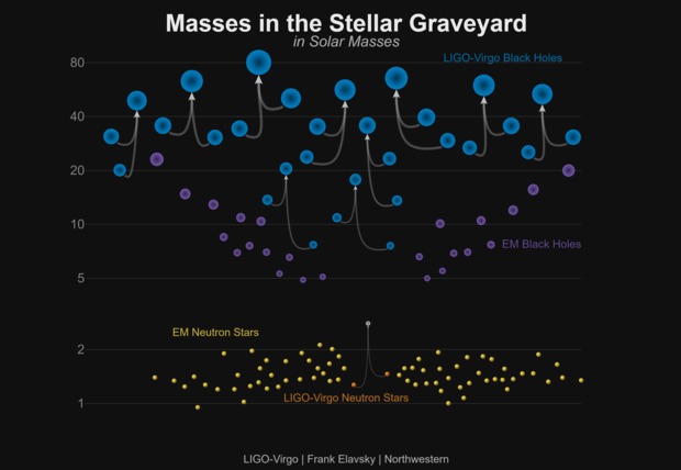 Black hole and neutron star masses
