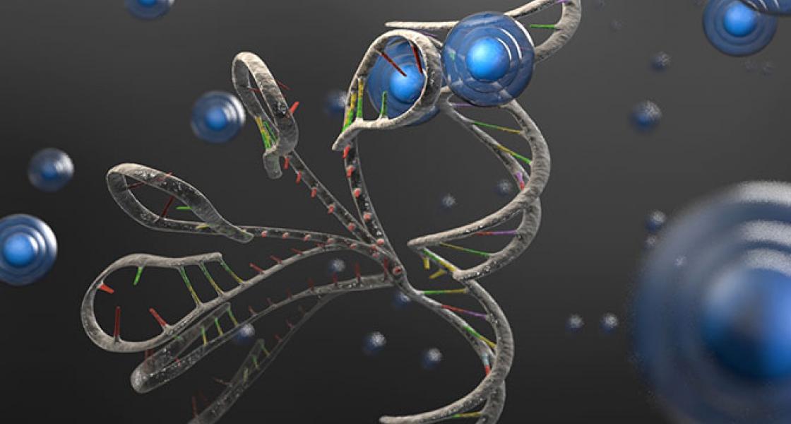 An image of RNA folding and unfolding.