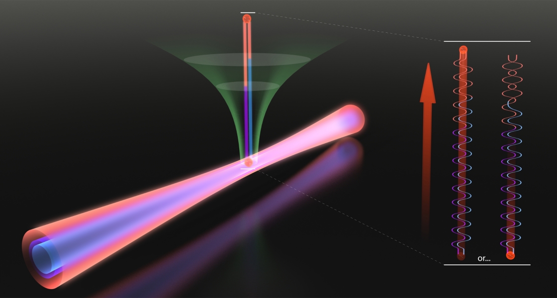 By adjusting three colors of light (red IR photons and two higher-energy blue and purple XUV photons), the Kapteyn/Murnane group can control whether an electron separates from a helium atom.