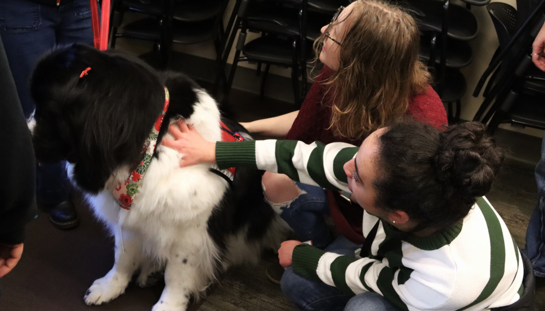 JILA Graduate student Maddie Klumb (top) and CU Boulder Safety Officer Alannah Gregory pet one of the therapy dogs at the recent visit