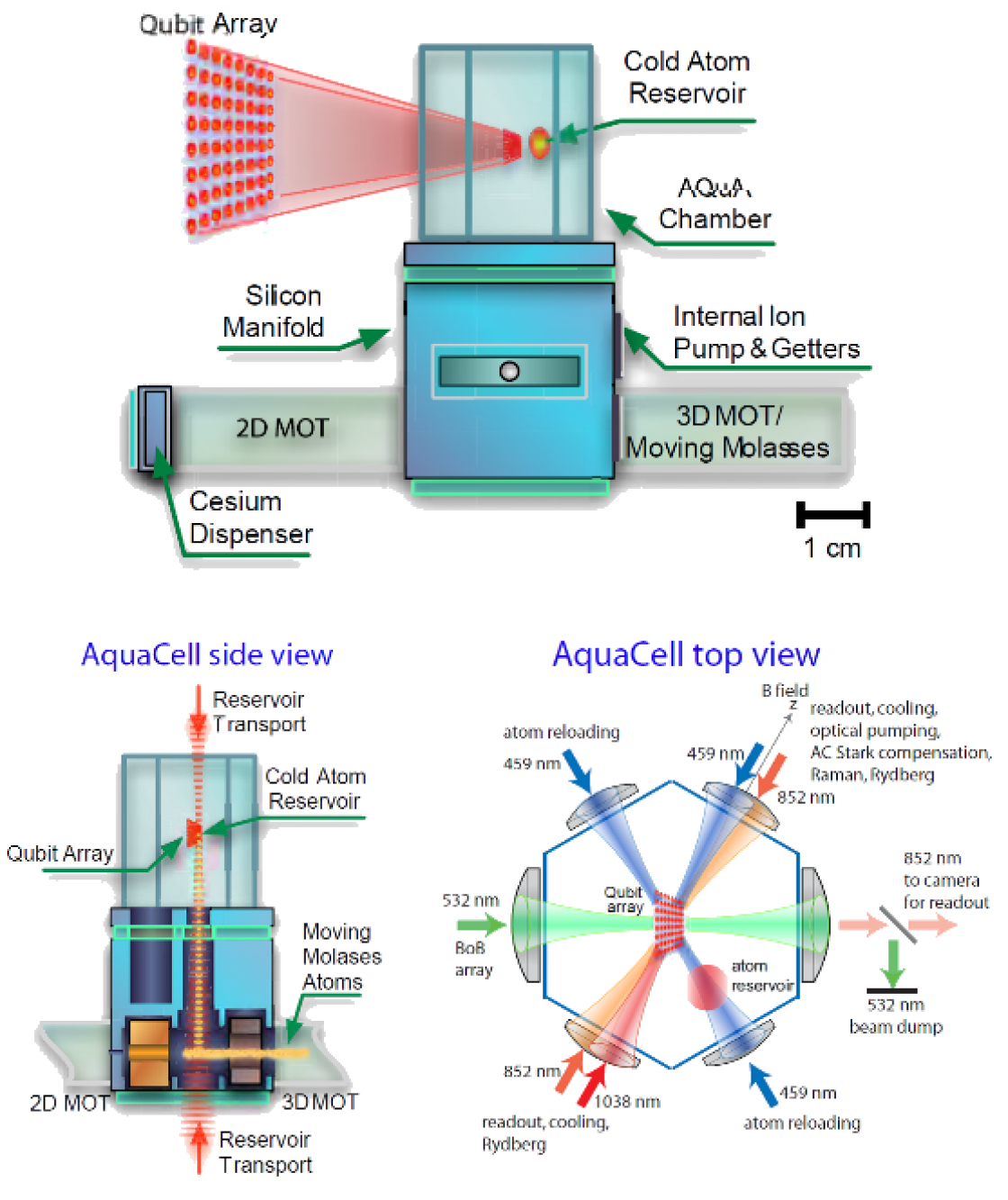 Aqua cell figure.