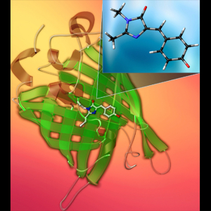 Chromophore image.