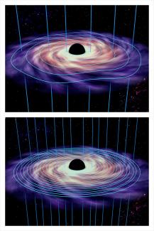 Magnetized accretion disks around different black holes.