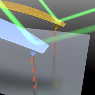 Artist's concept of an of an experiment comparing gold-coated (gold) and uncoated (blue) atomic force microscope probes.