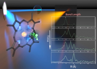 Breaking a molecular bond in CO-heme with a laser.