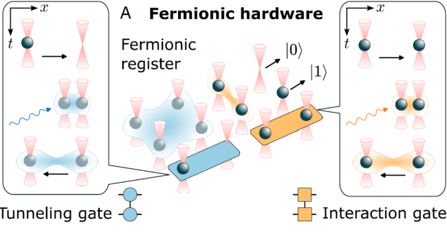 Fermionic Hardware