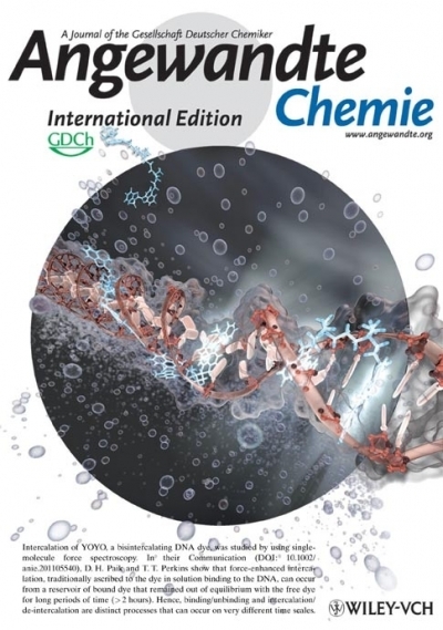 Cover image.