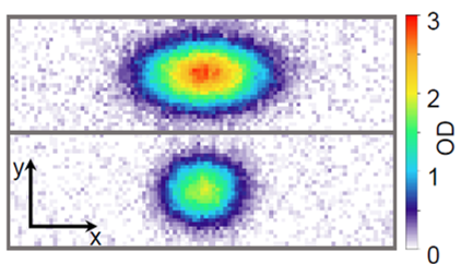 Thermal (top) vs. degenerate gas after evaporation (bottom).
