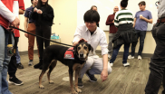 Charma, one of the therapy dogs from Go Team Therapy Dogs, makes a visit to JILA
