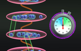 Local interactions in the same lattice pull clock frequency negative while interactions between atoms on neighboring lattice sites pull clock frequency positive. By adjusting the atomic confinement, or tightness, of the lattice, researchers can balance these two counteracting forces to increase clock sensitivity.