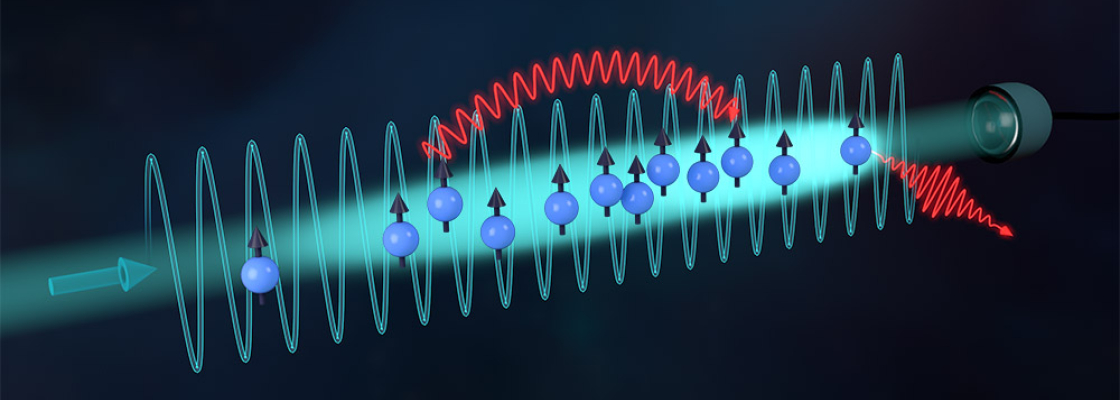 A pencil-shaped ultracold gas of frozen two-level atoms interacting via photon-mediated interactions, with elastic and inelastic components. A continuous laser drive excites the atoms on-resonance. Atoms also spontaneously emit photons into free-space.