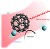 C60 molecules undergo optical pumping, collisions, and diffusion