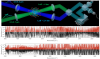 Sensing complex molecules with broadband comb