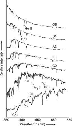 Spectra of stars of various spectral types