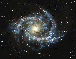 types of two spiral galaxies