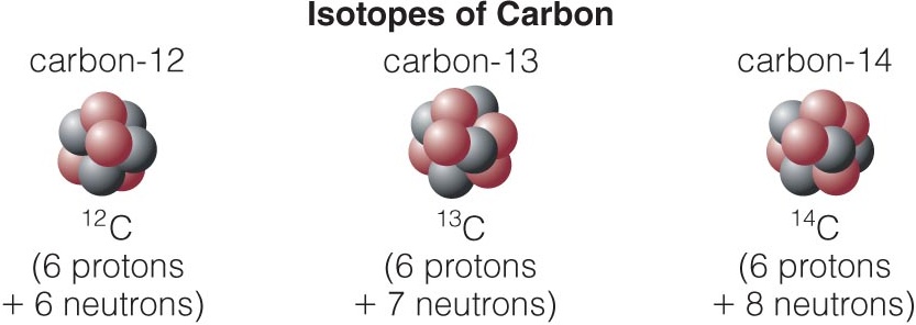 Different isotopes of the same atom have different numbers of neutrons in their nuclei